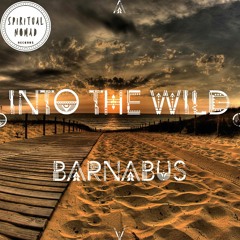 " Into the Wild " Nomadcast10 by BarnåbuS