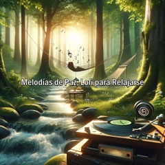 Café y Lofi, Compañeros de Tranquilidad