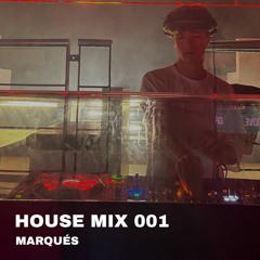 tech house mix 001