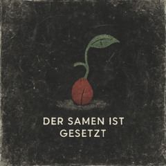 Der Samen ist gesetzt
