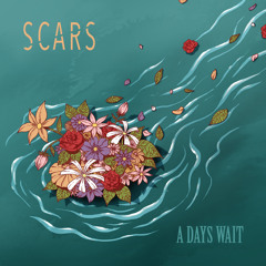 Scars