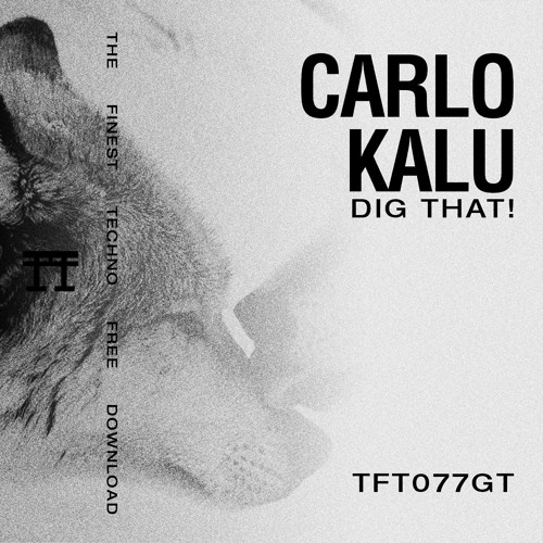 FREE DOWNLOAD: Carlo Kalu - DIG THAT! [TFT077GT]