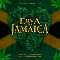 Coktel Molotov - Erva Da Jamaica (R3VERSE, Luana Prado & Jaay Marchesi Remix)