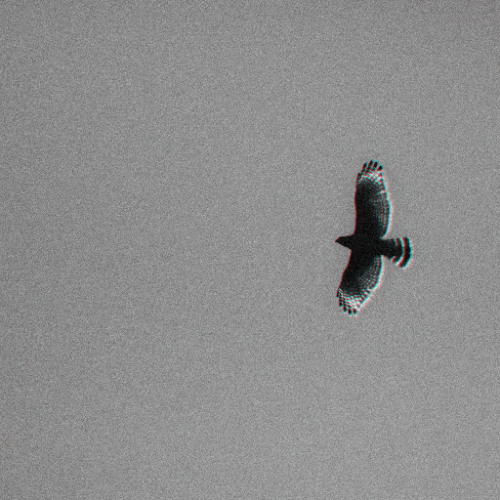 Forever (CTF Tribute)