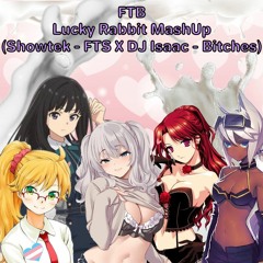 Lucky Rabbit Mashup - FTB (Showtek - FTS X DJ Isaac - Bitches)