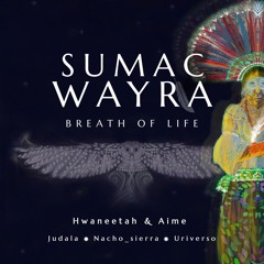 Ayahuasca 🐍🍃