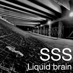 SSS - Liquid brain