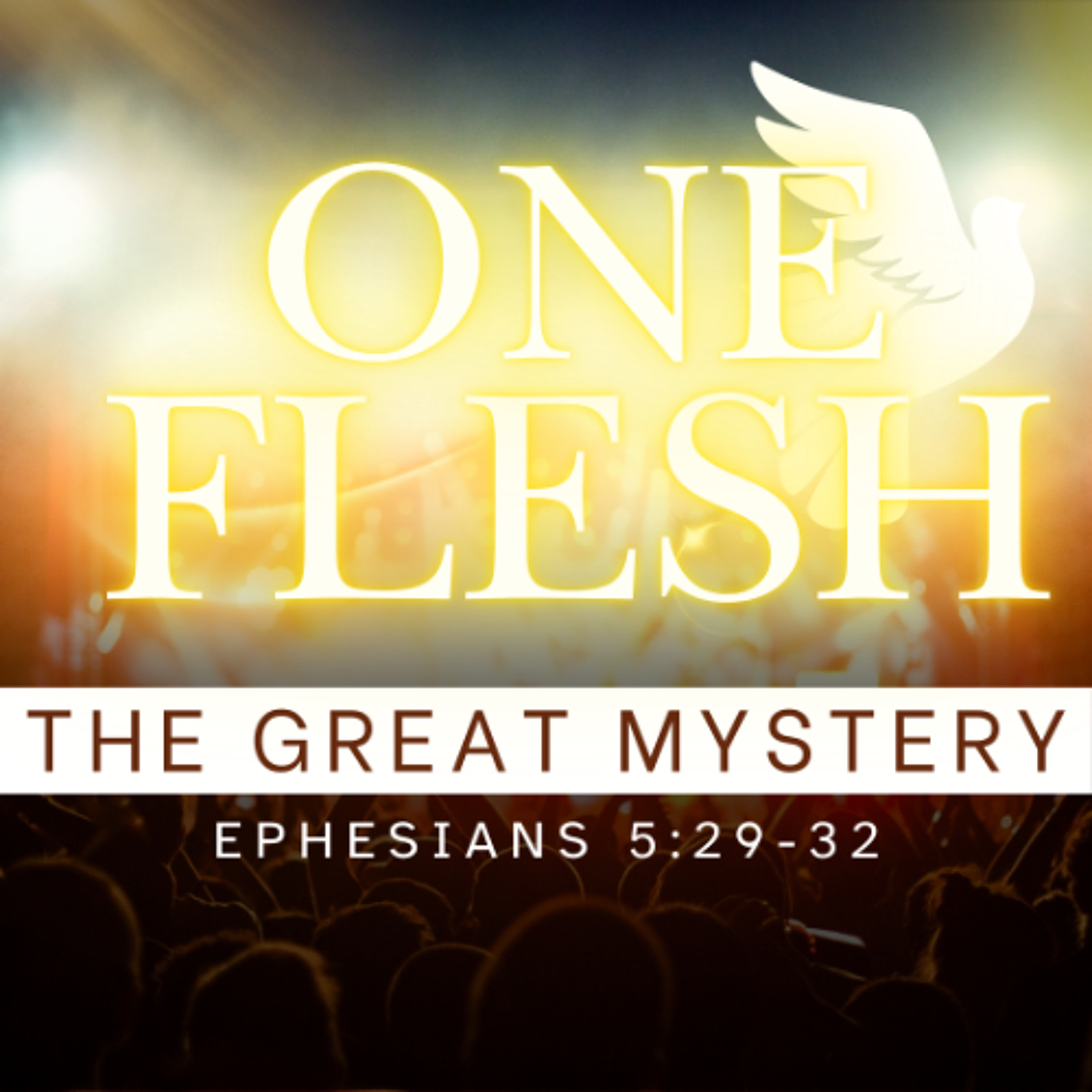 01-26-25 | One Flesh – The Great Mystery | David Bendett episode artwork