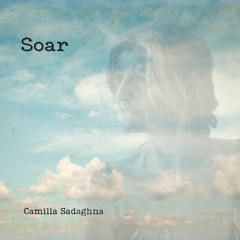 Soar