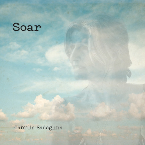 Soar