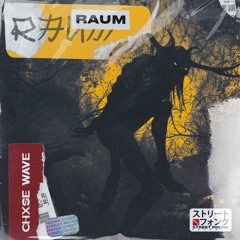 CHXSE WAVE - RAUM