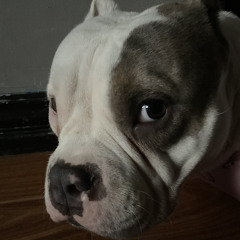 Kaitou Joker Opening - Kaitou Miracle Shounen Boy.mp3