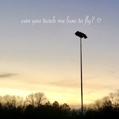 can you teach me how to fly