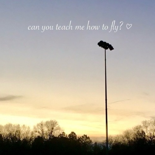 can you teach me how to fly