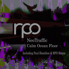Calm Ocean Floor (RPO Remix) [RPO Records]
