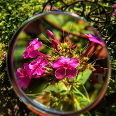 Kaleidoscopic