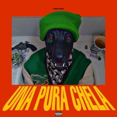 UNA PURA CHELA.wav