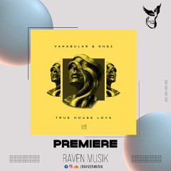 PREMIERE: Vakabular - Is It Enough (Extended Mix) [Hollystone Records]