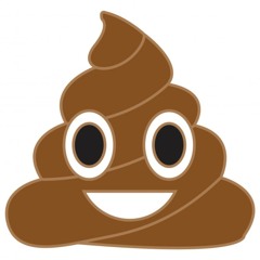 SHIT INC
