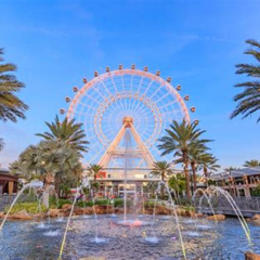 Best Thing To Do In Orlando Tours Review
