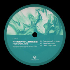 PREMIERE: A1. FR!SKY BUZINESS - Romanzo Tropicale (Circa Groove)