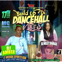 Dj Nelly Swagg 2/23 (Build Up Di Dancehall Vibes)