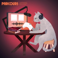 Parcours Stup, épisode hors série : la formation d'addictologie