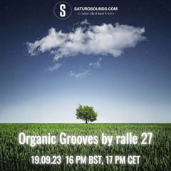 Organic Grooves by ralle 27, 19.09.23