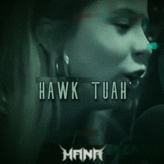 HAWK TUAH' [FREE DL]