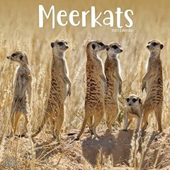 RecordedACCESS PDF EBOOK EPUB KINDLE 2023 Meerkats Wall Calendar by  Avonside Publishing Ltd