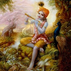 Hare Krishna Kirtan @Brampton by HG Devakinandan Das MVG