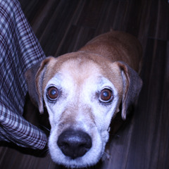 fatigued, thats all i’ll ever be