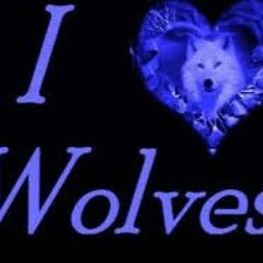 ALPHA WOLF SONGS (4)