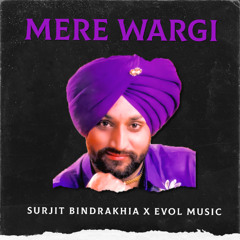 Mere Wargi Nahi Labhni