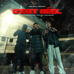 Cest Réel (feat. 5051Kartell & STRM.Offiziell)