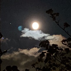 Shadows Fall (more guitar ideas export).mp3