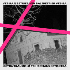 BETONTRÄUME IM REIHENHAUS