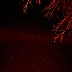 Bum_yamanashi(Phone rec.)