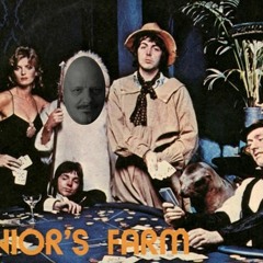 Junior's Farm - Paul McCartney & Wings Cover