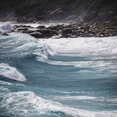 Archaeologist Husbands