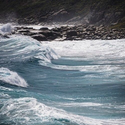 Archaeologist Husbands