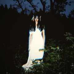 BIRTH OF VENUS (Slowed)