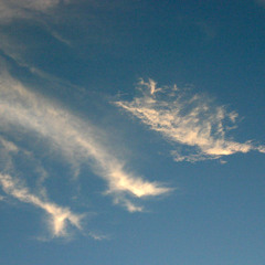 watching the skies