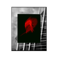 Raw Set @ Recode Office | 08-11-2025