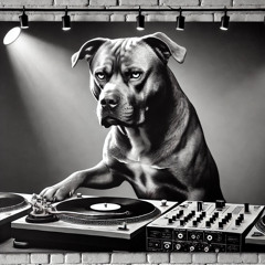 Hey Fking Sparkl, Drop That Shit (Harry SparkL Club Mixset #1)