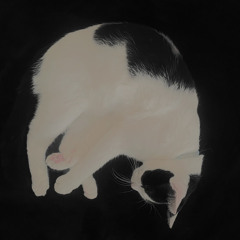 blind (opi1k + vivienne2659 + deadboyrio)