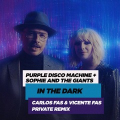 In The Dark (Carlos Fas & Vicente Fas Private Remix)FREE DL (PRE-PITCH)