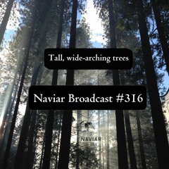 Naviar Broadcast #316 – Tall, wide-arching trees – Wednesday 24th April 2024