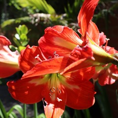 Nurture your Body with Awareness