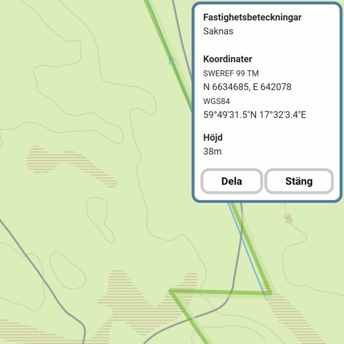 Dawn chorus at a forest clearcut (May 8, 2022)